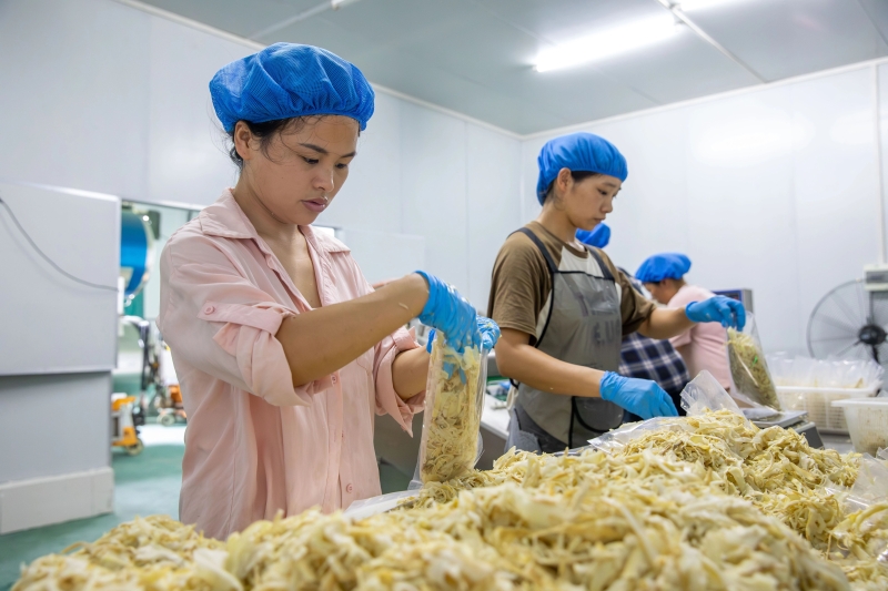 南豐：打造鄉村就業工廠 助推鄉村全面振興